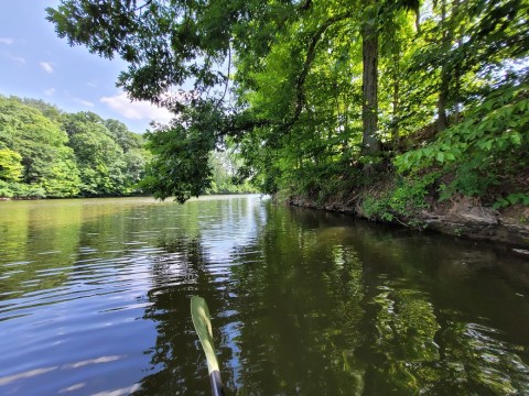 Paddling Through The Hidden Coves At Alum Creek Is A Magical Ohio Adventure That Will Light Up Your Soul