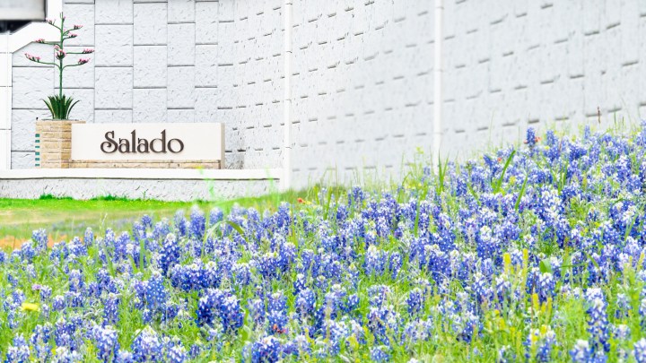 things to do in Salado Texas