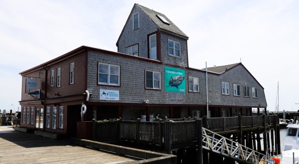 Massachusetts Has A Brand New Shark Center On Cape Cod