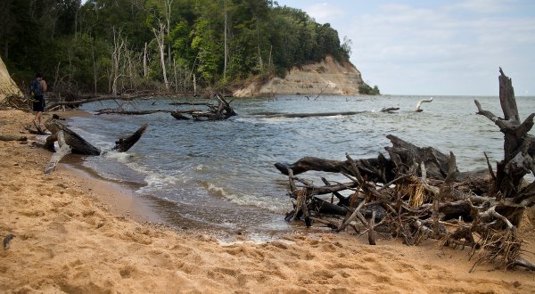The Amazing Fossil Beach Every Virginian Will Want To Visit