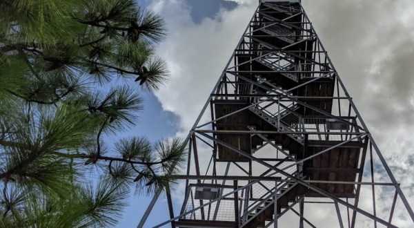 Climb 111 Steps To The Top Of The Smith Mountain Fire Tower In Alabama And You Can See Across Beautiful Lake Martin
