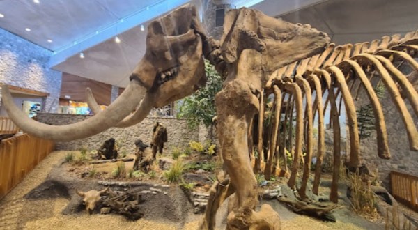 A Trip To This Fossil Park In Missouri Is An Adventure Like No Other