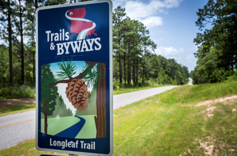 Roll The Windows Down And Take A Drive Down The Longleaf Pine Scenic Byway In Louisiana