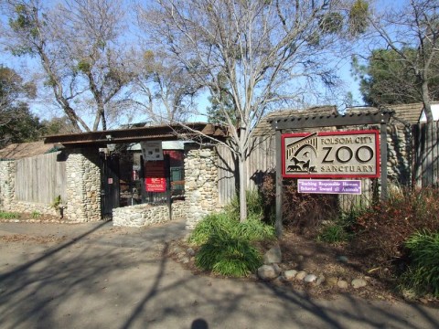 Most People Don’t Know About This Underrated Zoo Hiding In Northern California