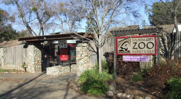 Most People Don’t Know About This Underrated Zoo Hiding In Northern California