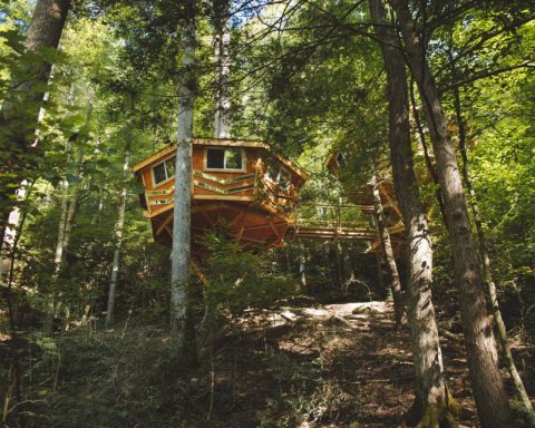 The Looking Glass Treehouse Might Just Be The Most Magical Getaway In Kentucky's Red River Gorge