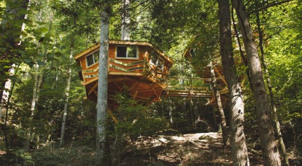The Looking Glass Treehouse Might Just Be The Most Magical Getaway In Kentucky’s Red River Gorge