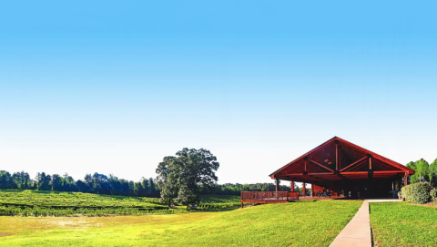 These Cabins On A Vineyard In Louisiana Are The Ultimate Countryside Getaway