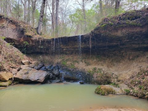 The Underrated Rocky Springs Trail In Mississippi Leads To An Abandoned Town