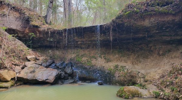 The Underrated Rocky Springs Trail In Mississippi Leads To An Abandoned Town