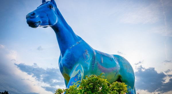 Most People Don’t Know The Story Behind The Painted Horses In Shawnee, Oklahoma