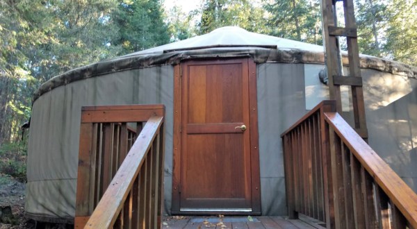 There’s A Forest Yurt Vrbo In Minnesota And It’s Just Like Spending The Night On Safari