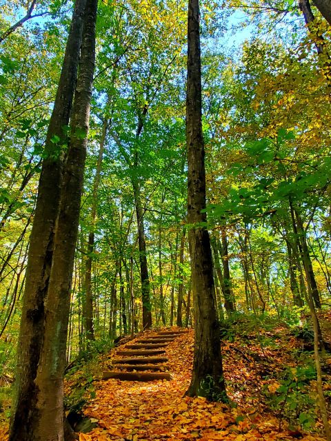 Hike To An Emerald Forest On The Easy Lime Rock Preserve Trail In Rhode Island