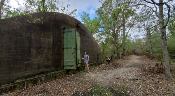 These Fascinating Louisiana Ammunition Magazines Have Been Abandoned And Reclaimed By Nature For Decades Now