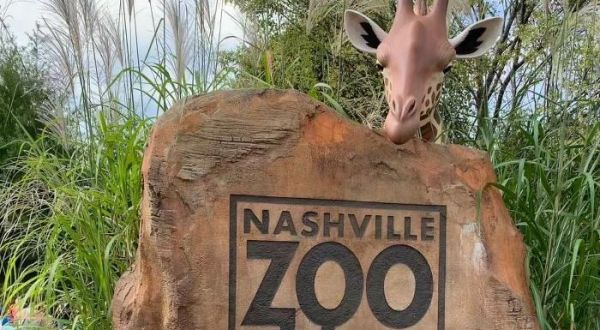 Tennessee’s Largest Zoo Is Right Here In Nashville And You’ll Want To Plan Your Visit
