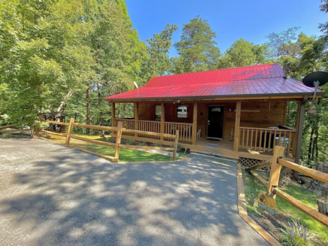 There's A Safari-Themed Vrbo In Tennessee And It's Just Like Spending The Night In The Jungle