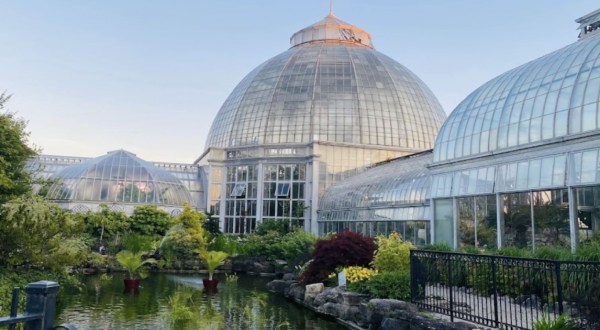 The Oldest Aquarium In America Is Right Here In Michigan And It’s Amazing