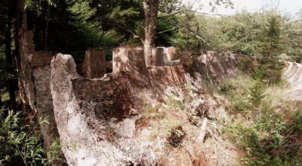 This Abandoned West Virginia Ghost Town Was Once The Highest, Coldest Town In The East