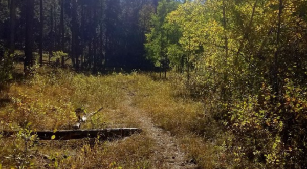 The Little-Known Abandoned Mine In South Dakota You Can Only Reach By Hiking This 4 Mile Trail