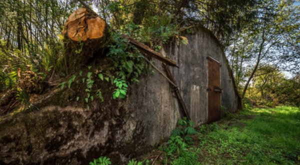 Not Many People Know About The Secret, Abandoned WWII Bunker Hiding In Oregon