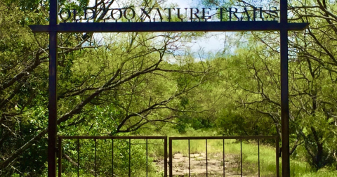 The Creepiest Hike In Texas Takes You Through The Ruins Of An Abandoned Zoo