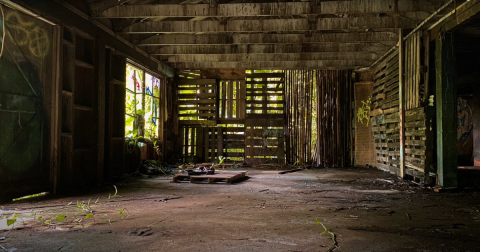 Everyone In Hawaii Should See What’s Inside The Gates Of This Abandoned Zoo