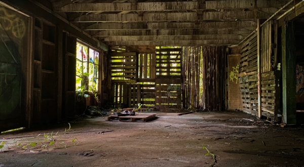 Everyone In Hawaii Should See What’s Inside The Gates Of This Abandoned Zoo
