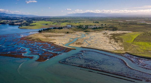 Paddling Through This Hidden Ecological Treasure Is A Magical Northern California Adventure That Will Light Up Your Soul