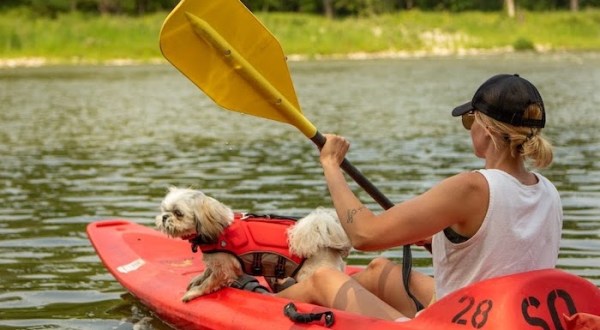 Paddling Through The Hidden Des Moines River Is A Magical Iowa Adventure That Will Light Up Your Soul