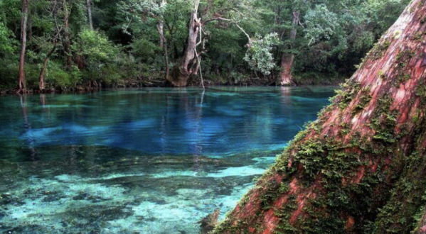 Paddling Through The Hidden Spring Is A Magical Florida Adventure That Will Light Up Your Soul