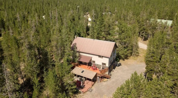 There’s An Animal-Themed VRBO In Idaho And It’s Deep In The Forest