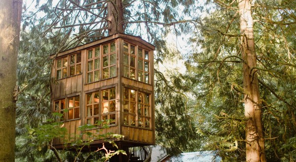 7 Amazing Treetop Adventures You Can Only Have In Washington
