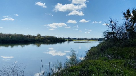 This 430-Acre Riparian Forest Sanctuary In Northern California Is A Birders Dream