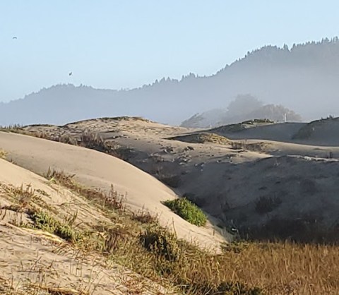 There Are Sand Dunes In Northern California That Looks Just Like Imperial Sand Dunes, But Hardly Anyone Knows They Exist