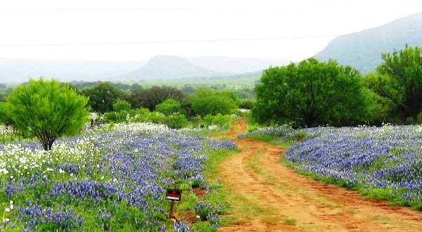 12 Magnificent Hidden Gems To Discover In Texas This Year