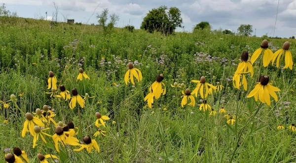 There’s A Little-Known Nature Preserve Just Waiting For Wisconsin Explorers