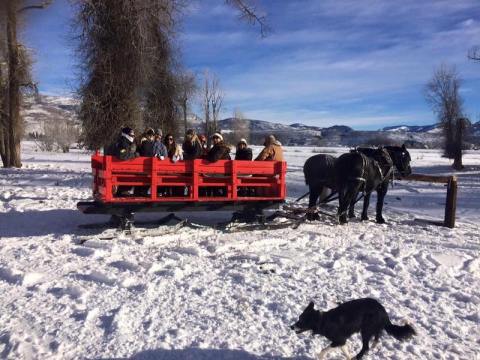 Take A Sleigh Ride Through The River Bottoms For A Truly Unique Utah Experience