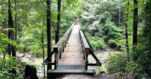 There's A Georgia Trail That Leads To A Waterfall The Entire Family Will Love