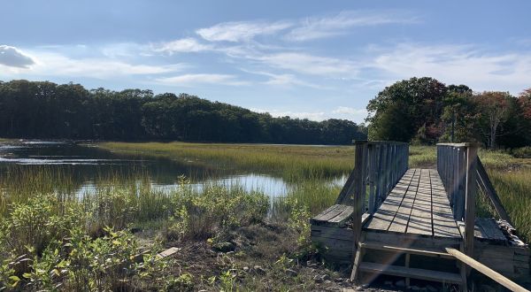 The Bridge Trail In Rhode Island That Will Take You On An Unforgettable Adventure