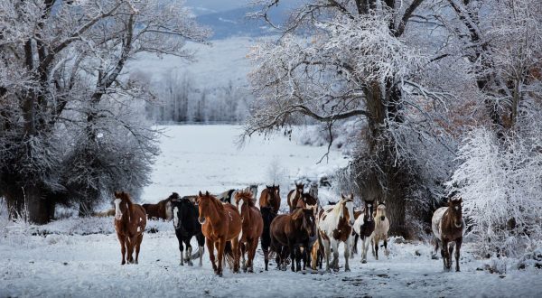 The Wyoming Resort Where You Can Try Snowga, Make Homemade Caramels, Take A Sleigh Ride, And More This Winter