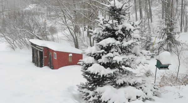 It Was So Cold In Vermont In 2015, Temperatures Stayed Below Freezing For 27 Days