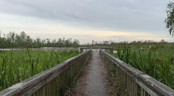 The Underrated Mandalay Nature Trail Trail In Louisiana Leads To Stunning Emerald Green Wetlands