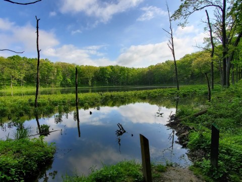The One State Park In Indiana With 9 Connected Lakes Truly Has It All