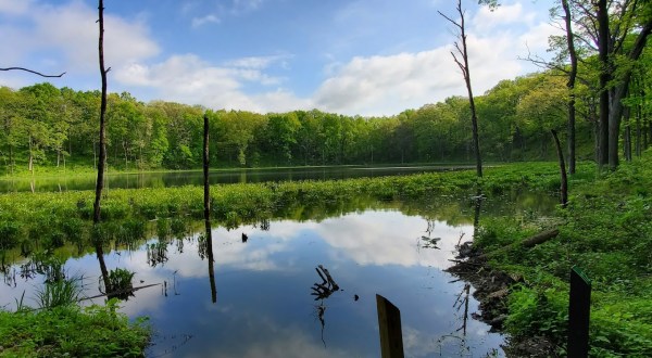 The One State Park In Indiana With 9 Connected Lakes Truly Has It All