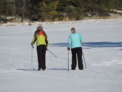 Nordic Ski For Free Feb. 24 Through 26 At Voyageurs National Park In Minnesota