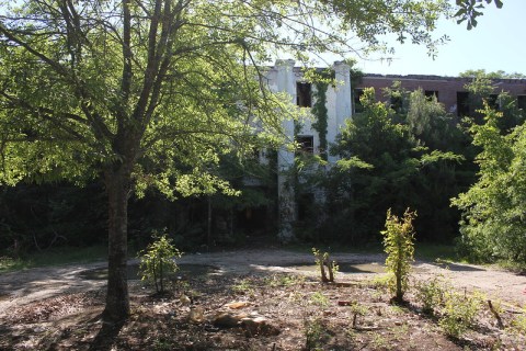 This Alabama Psychiatric Hospital Has Been Abandoned And Reclaimed By Nature For Decades Now