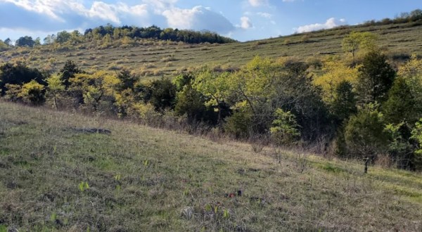 Few People Know About This Missouri Nature Area With Some Of The Midwest’s Largest Glades