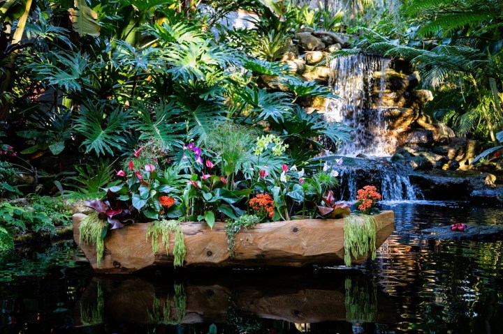 Botanical Gardens In Florida