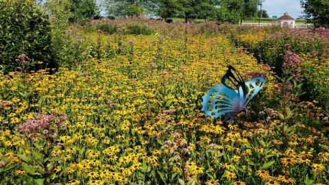 The Enchanting Butterfly Garden In Kentucky Is The Perfect Spring Day Trip