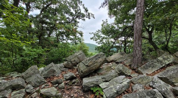 Few People Know About These Pennsylvania Rock Outcrops That Are 600 Million Years Old